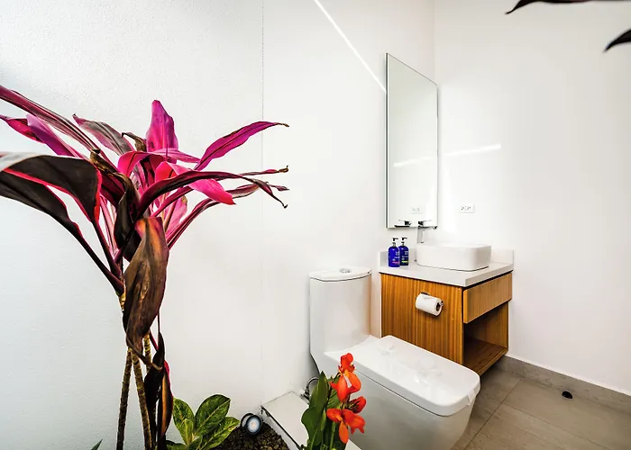 Hotel Mvillas Luxury With Club Access & Sauna Tamarindo